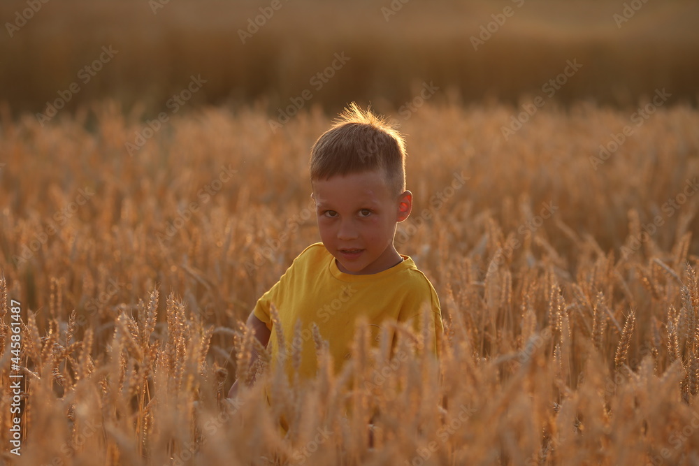 a small child looks up at the camera from the bottom up a small child looks up at the camera from the bottom up