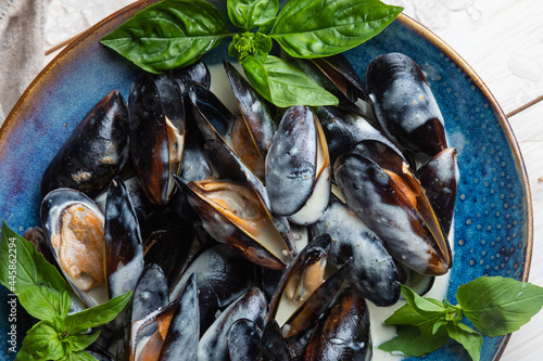 mussels in a creamy sauce garnished with basil leaves photo