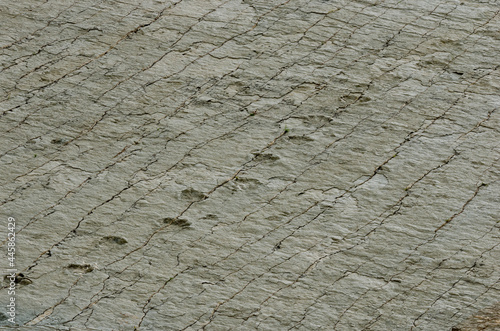 Dinosaur Tracks on the Wall of Cal Orko, Sucre, Bolivia photo