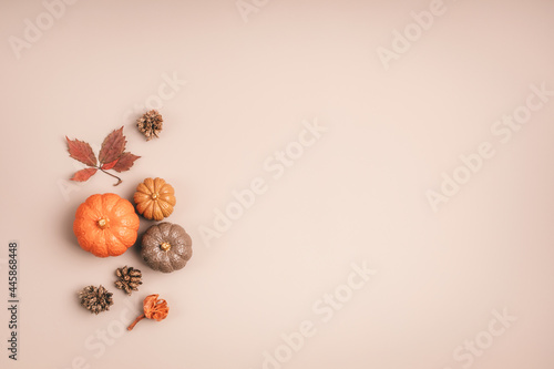 Fototapeta Naklejka Na Ścianę i Meble -  Collection of handmade plaster pumpkins. Autumn seasonal holidays background in natural colors. DIY craft pumpkins for helloween, thanksgiving, fall decoration