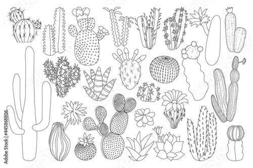 Cactus isolated outline set icon. Vector illustration mexican cacti on white background. Vector outline set icon cactus with flower.