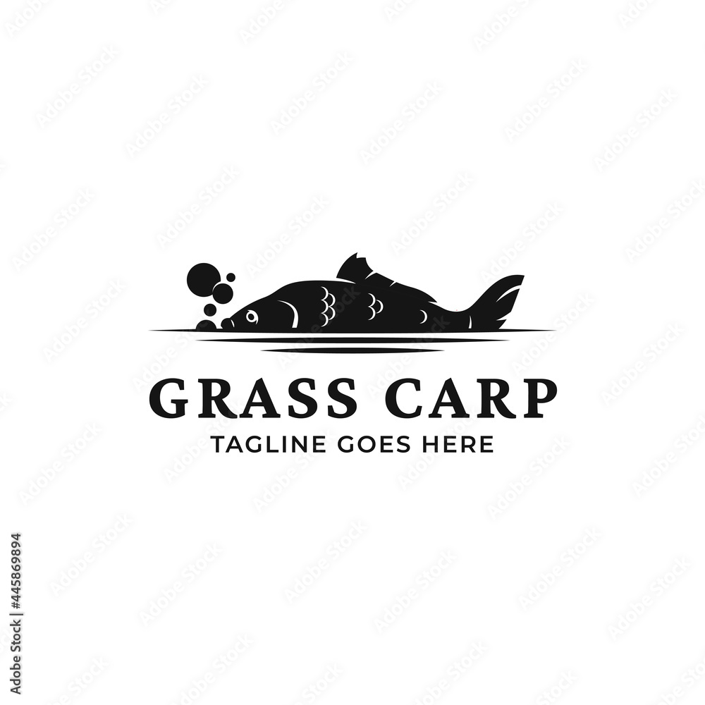 Fototapeta premium Vector grass carp logo template isolated on a white background