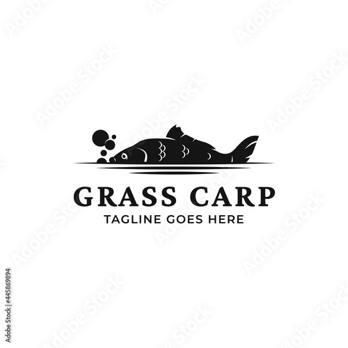 Vector grass carp logo template isolated on a white background