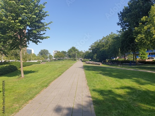 Fototapeta Naklejka Na Ścianę i Meble -  Rotterdam Sint Jacobs Park Path