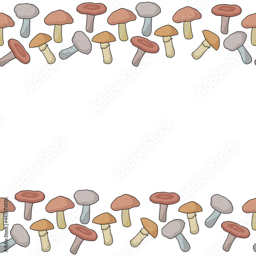 Horizontal borders from edible mushrooms of various types, autumn natural elements for design