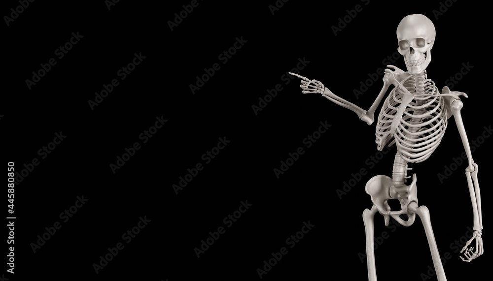 skeleton posing 3d render  - obrazy, fototapety, plakaty 