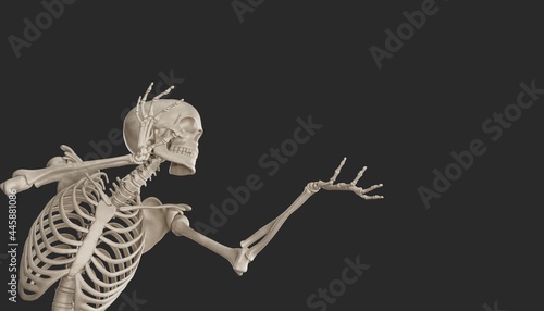 skeleton posing 3d render  photo