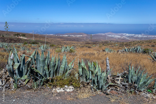 Deserted landscape of the eastern shore of Gran Canaria