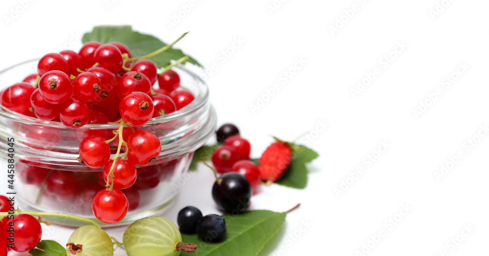 Food background. A mix of currant berries, gooseberries and black currants close-up in a bowl with room for text. Copyspace Food background. A mix of currant berries, gooseberries and black currants close-up in a bowl with room for text. Copyspace