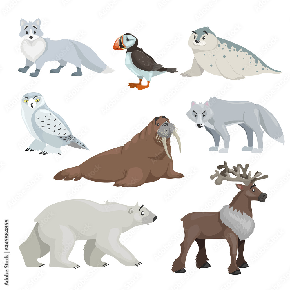Cartoon polar and arctic animals. Snowy fox, seal, puffin, walrus, wolf, polar bear and reindeer. Educational vector illustrations collection.