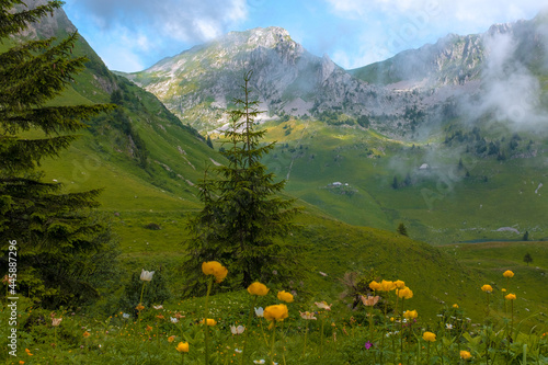 Landscape view of the Swiss Alpes from the Kaiseregg and Luchere Mountains, Shot in Jaun area, Fribourg, Switzerland photo