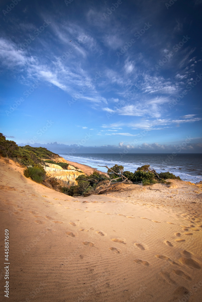 the beautiful beach of Mazagon, Spain. Dunes and green and yellow vegetation. Vacation concept. the beautiful beach of Mazagon, Spain. Dunes and green and yellow vegetation. Vacation concept.