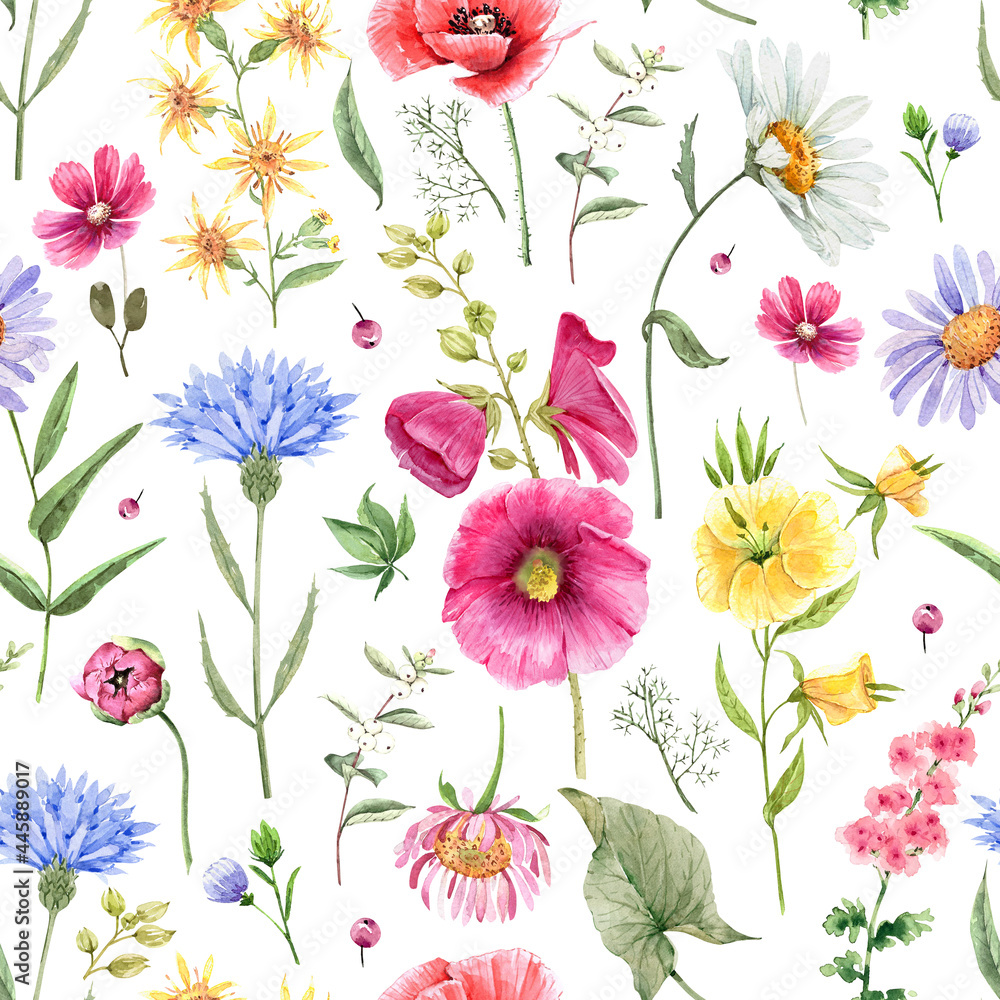 pattern with meadow and garden watercolor colorful flowers, hand painted on white background
