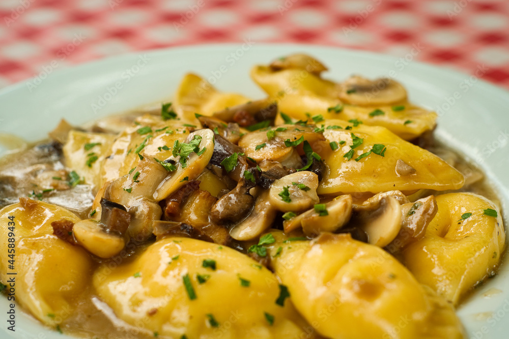 Delicious homemade ravioli filled with mushrooms and ricotta and served under sour cream sauce with porcini Delicious homemade ravioli filled with mushrooms and ricotta and served under sour cream sauce with porcini