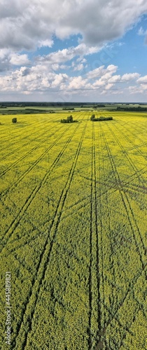 field and blue sky