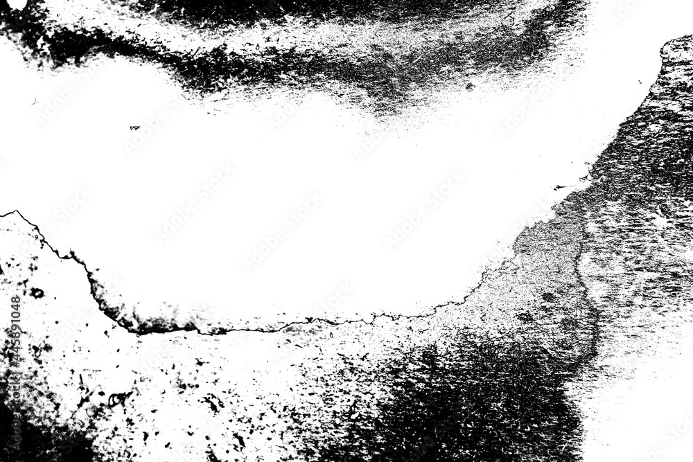 Fototapeta premium Abstract background. Monochrome texture. Image includes a effect the black and white tones.