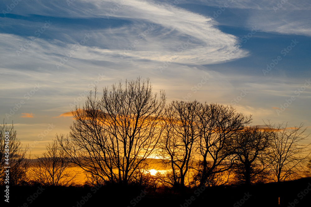 Fototapeta premium Cheshire sunset with tree silhouette