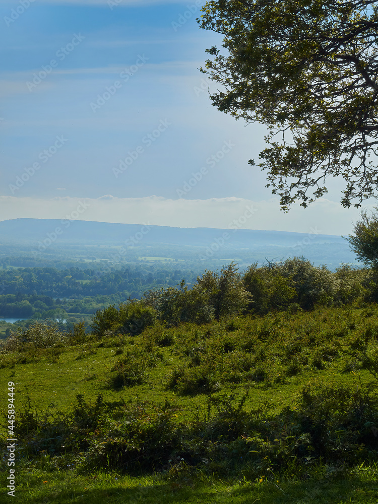 A scrubby hilltop, covered in plants and wildflowers, ahead of a valley and mist shrouded hill on the far horizon, under a summery blue sky.