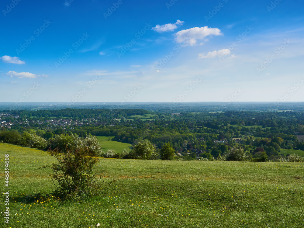 An expansive, sunlit sweep of clouded blue sky, green hill and the towns, fields and woodland of a Surrey valley. A small tree stands as a focal point