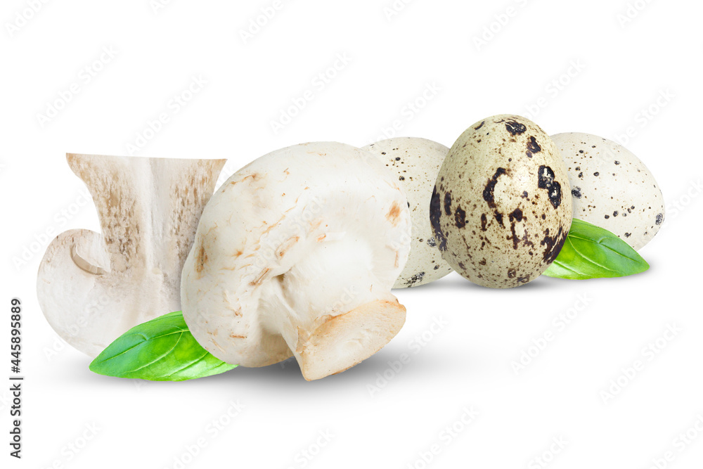 Quail eggs and champignons on isolated white background