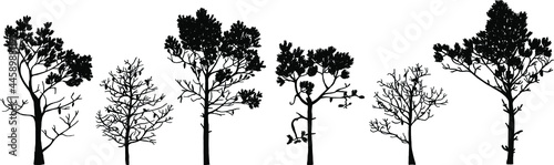 Set of tree silhouettes of different types and shapes isolated on white background. Illustration.