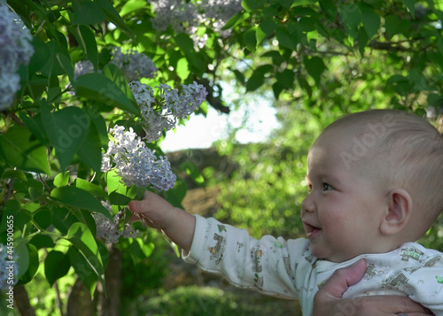 Little boy exploring flowers for first time