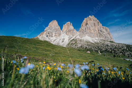 Summer view of Sassolungo and Sassopiato towers in Dolomites  Italy. Beautiful summer day in Dolomiti  green grass  blue sky and high rock towers  peaks and summits.