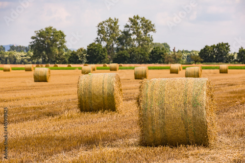 Rundballen auf einem geernteten Feld nach der Heuernte im Sommer