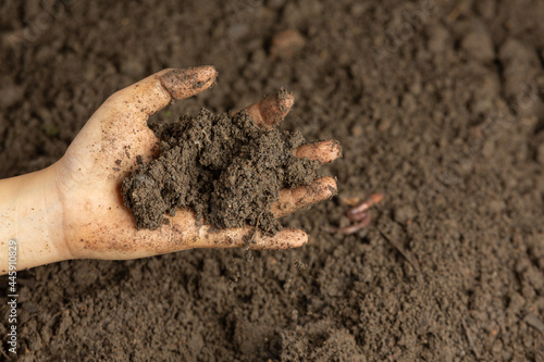 Hand holding black soil for cultivating crops world soil day concept