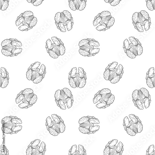walnut seamless vector background