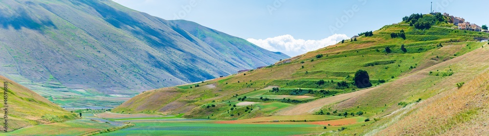 Blooming cultivated fields, famous colourful flowering plain in the Apennines, Castelluccio di Norcia highlands, Italy. Agriculture of lentil crops, red poppies and blue cornflowers.
