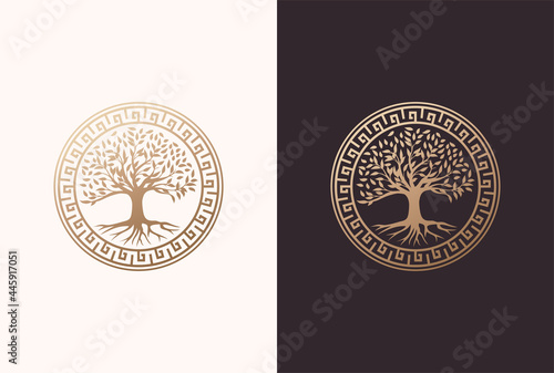 tree of life logo design with circle greek element in a golden color.