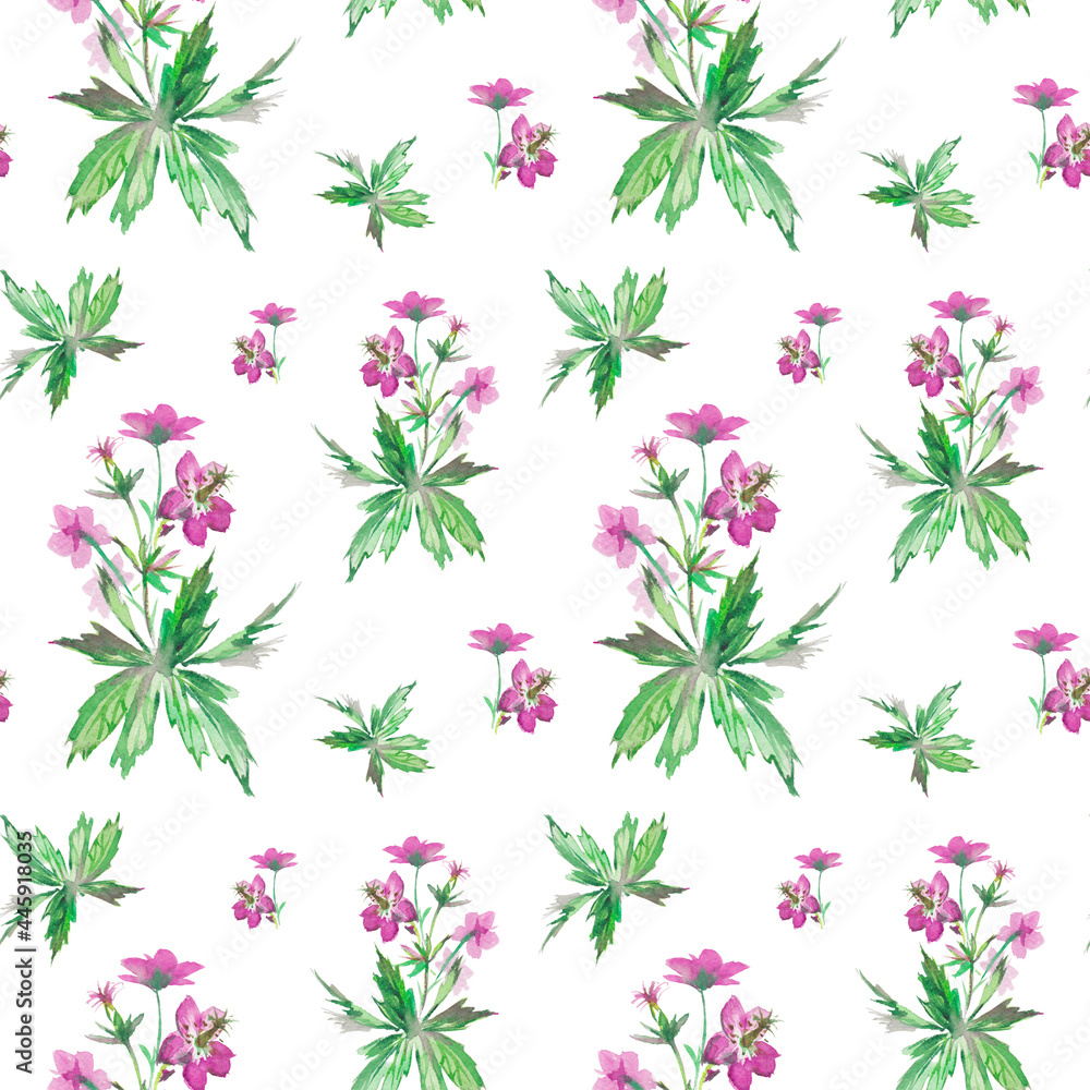 floral watercolor seamless pattern with beautiful field flowers of geranium, hand drawn background
