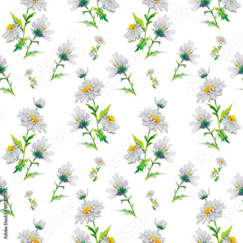  floral watercolor seamless pattern with beautiful chamomiles, hand drawn background