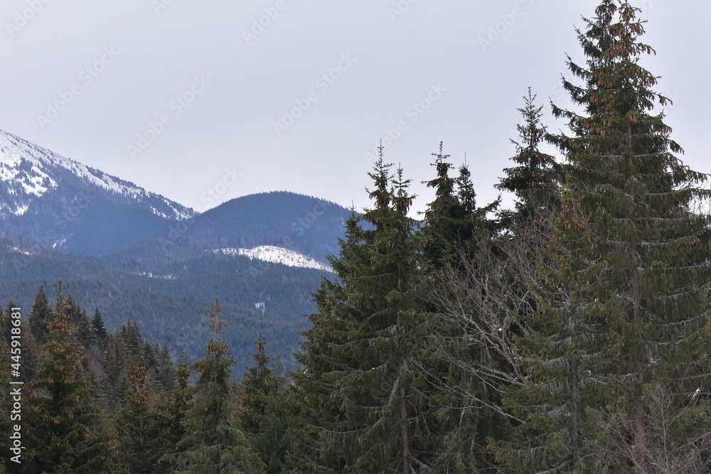 Obraz premium snow covered mountains