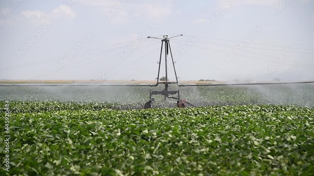 Agriculture irrigation of soybean Agriculture irrigation of soybean