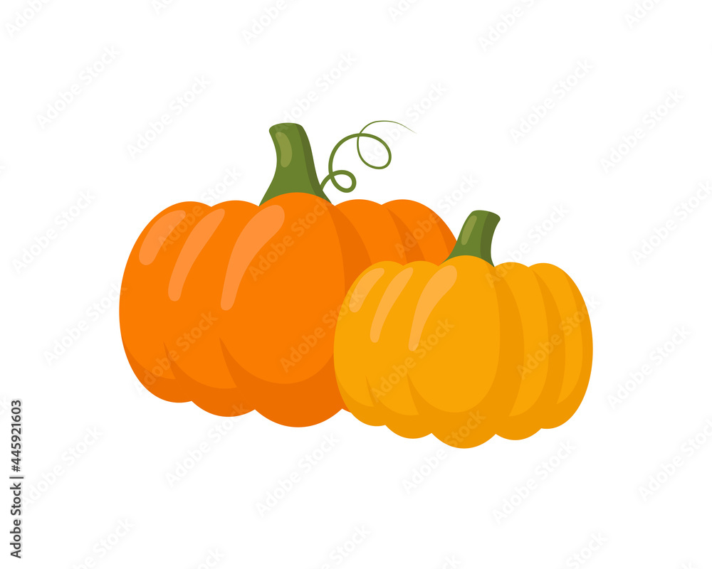 Fototapeta premium Pumpkin isolated on white background. Vector illustration