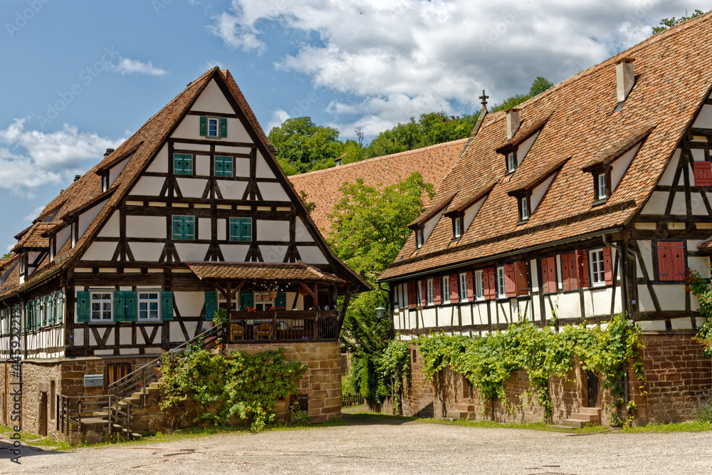 Fachwerkhäuser mit Weinreben Fachwerkhäuser mit Weinreben