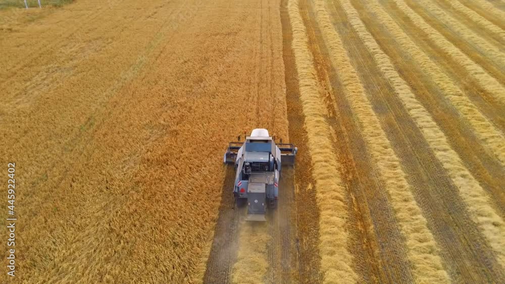 Combine harvesters working on the wheat field on a hot summer day Combine harvesters working on the wheat field on a hot summer day
