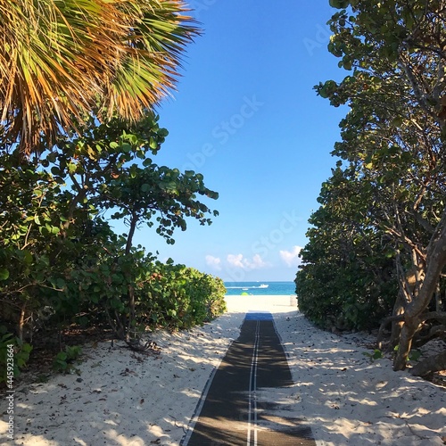 MIAMI Beach, FL, USA - December 21, 2017: Path to the ocean in Haulover park photo
