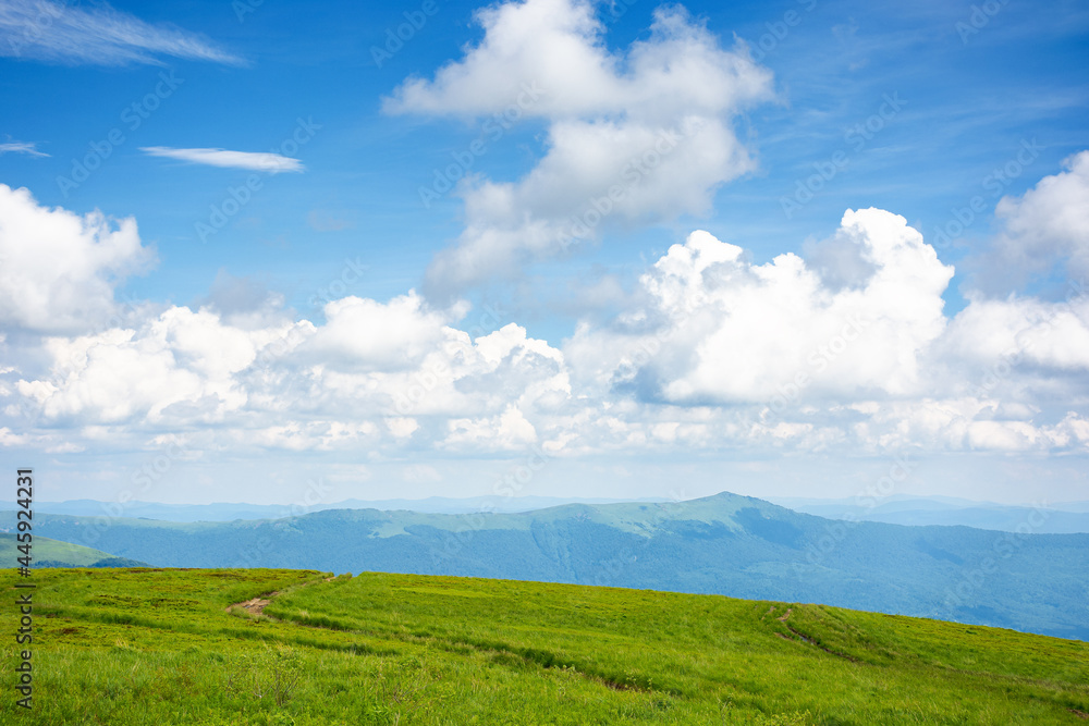 idyllic summer landscape. grassy meadow and high peak in the distance. sunny weather with fluffy clouds on the blue sky. green and blue color in nature idyllic summer landscape. grassy meadow and high peak in the distance. sunny weather with fluffy clouds on the blue sky. green and blue color in nature