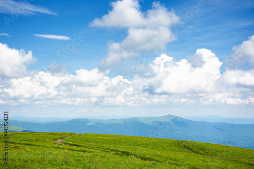 idyllic summer landscape. grassy meadow and high peak in the distance. sunny weather with fluffy clouds on the blue sky. green and blue color in nature