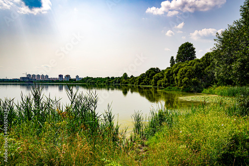 landscape with lake