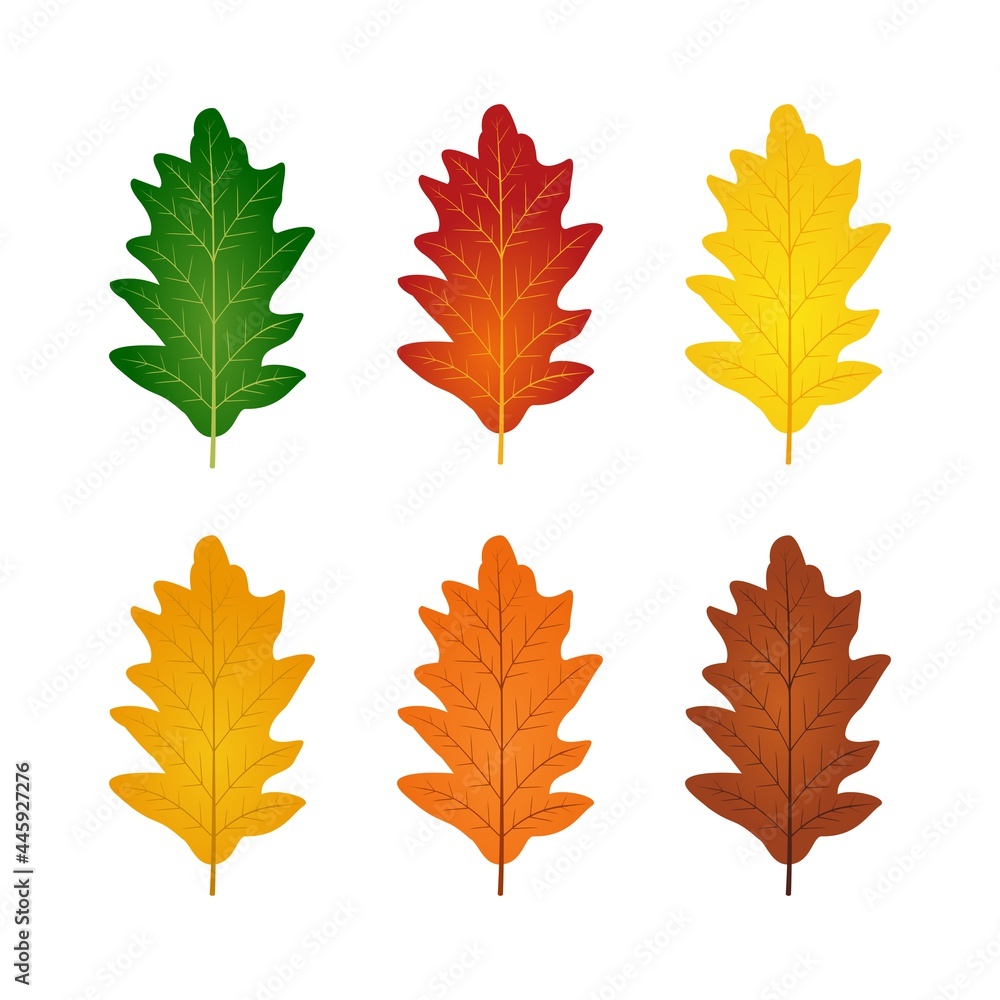 Autumn oak leaf icon vector illustration set. Fall season design element Autumn oak leaf icon vector illustration set. Fall season design element