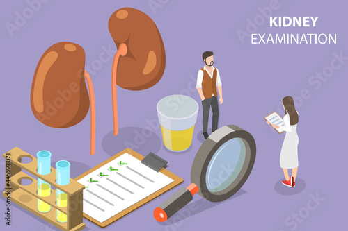3D Isometric Flat Vector Conceptual Illustration of Kidney Checkup, Urology and Nephrology