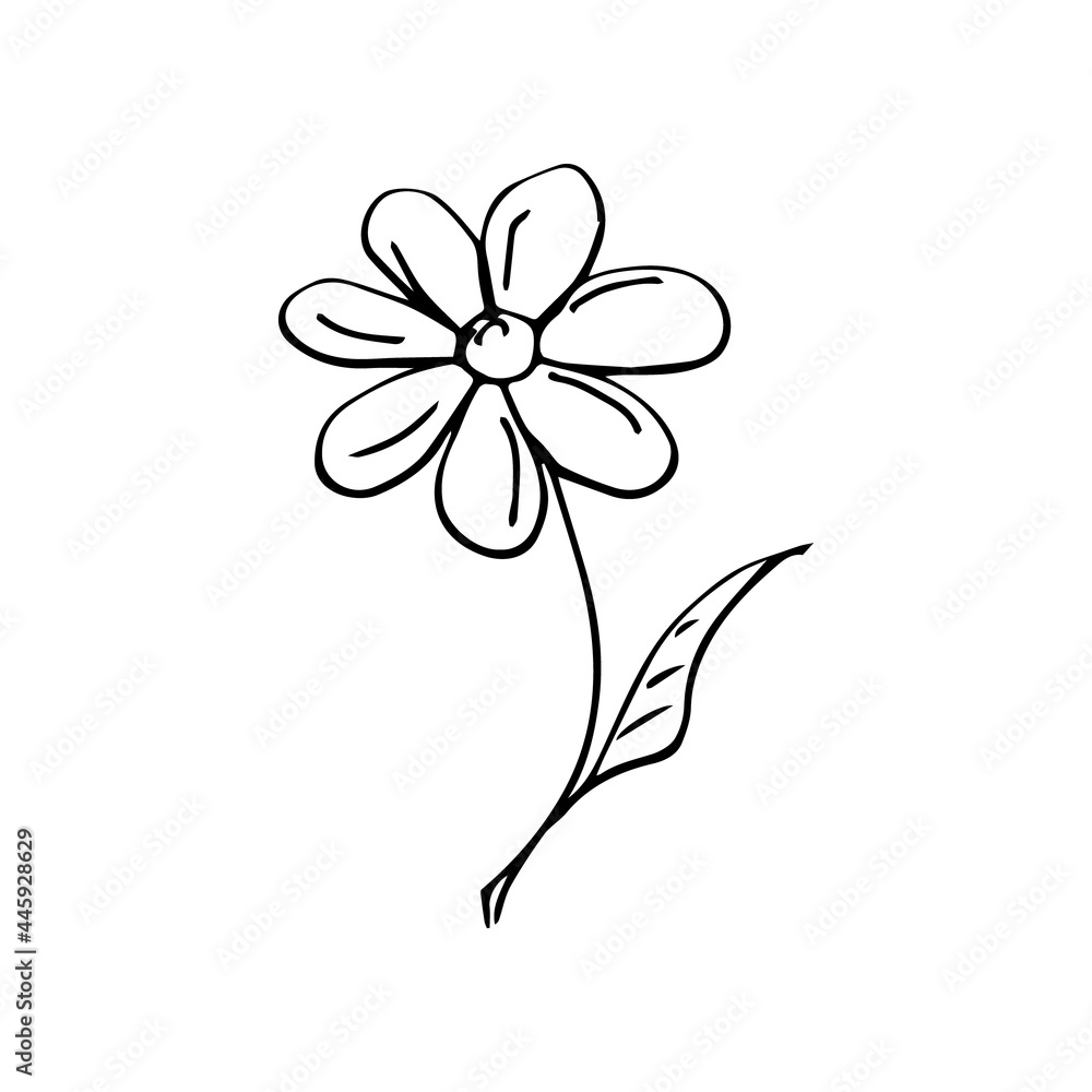 A single element is a flower drawn by hand. Vector black and white doodle illustration for logo, design and postcards