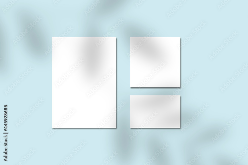 empty white vertical a4 poster and one square sized and one horizontal rectangle card mockups with soft tree leaves shadow on light blue background. Flat lay, top view template empty white vertical a4 poster and one square sized and one horizontal rectangle card mockups with soft tree leaves shadow on light blue background. Flat lay, top view template
