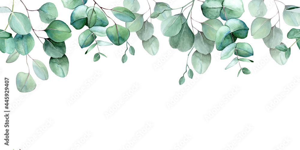 seamless border, frame of eucalyptus leaves and branches. watercolor