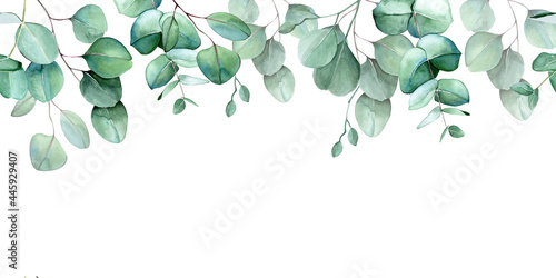 seamless border, frame of eucalyptus leaves and branches. watercolor drawing green leaves of eucalyptus on white background. print for wedding, invitations, congratulations. web banner