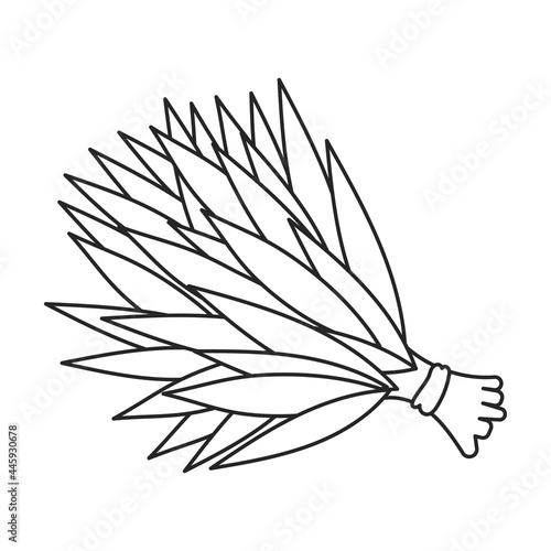 Sauna broom vector icon.Outline vector icon isolated on white background sauna broom.